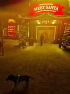 Finnland: Von Helsinki bis Rovaniemi - Nordlichter, Husky Tour, Santa Claus & Polar Express