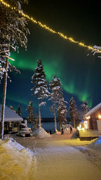 Finnland: Von Helsinki bis Rovaniemi - Nordlichter, Husky Tour, Santa Claus & Polar Express