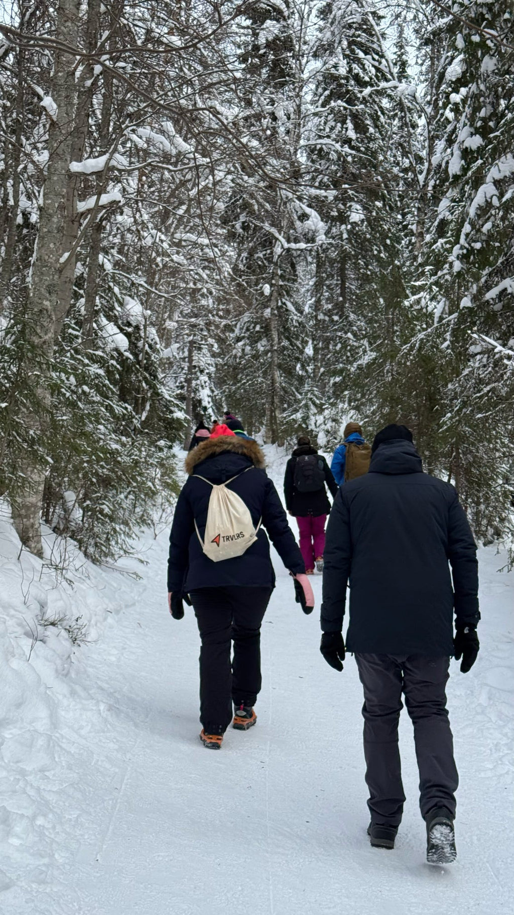 Finnland: Von Helsinki bis Rovaniemi - Nordlichter, Husky Tour, Santa Claus & Polar Express