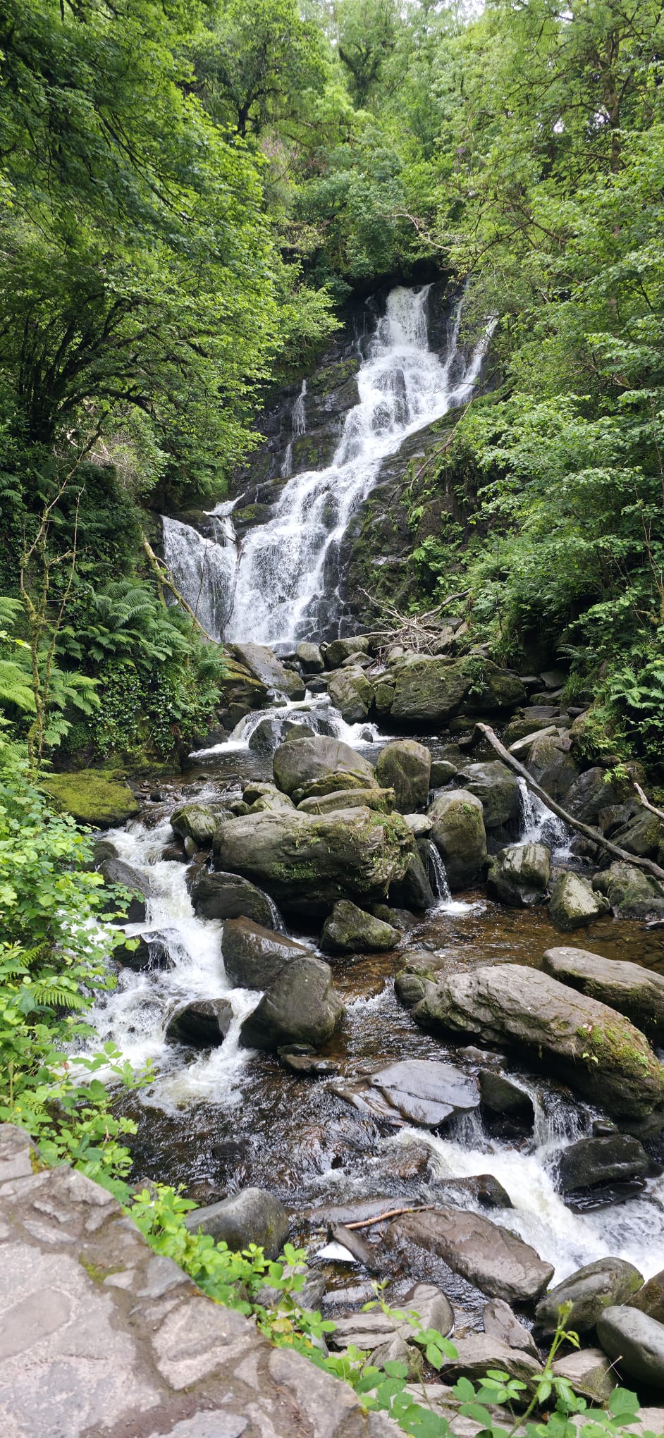 Irland Roadtrip: Guinness, Klippen & Küstenzauber